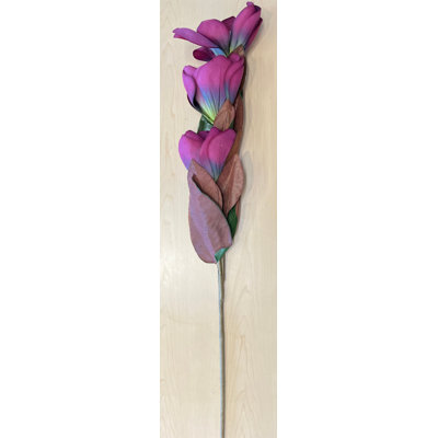 Tige de magnolia géant