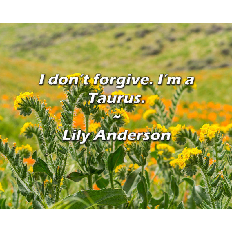 Lily Anderson Quote: I don’t forgive. I’m a Taurus., 15" H x 18" W