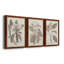Ensemble de 3 cadres photo sur toile Midnight Tulip V-981462673-981462680