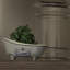 Mini cuve en laiton 5-11 / 16 po Le Savon Kingston