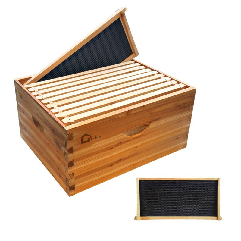 Boîte de ruche profonde 10 cadres, boîte de ruche en cèdre Langstroth 20 po x 16 po x 10 po