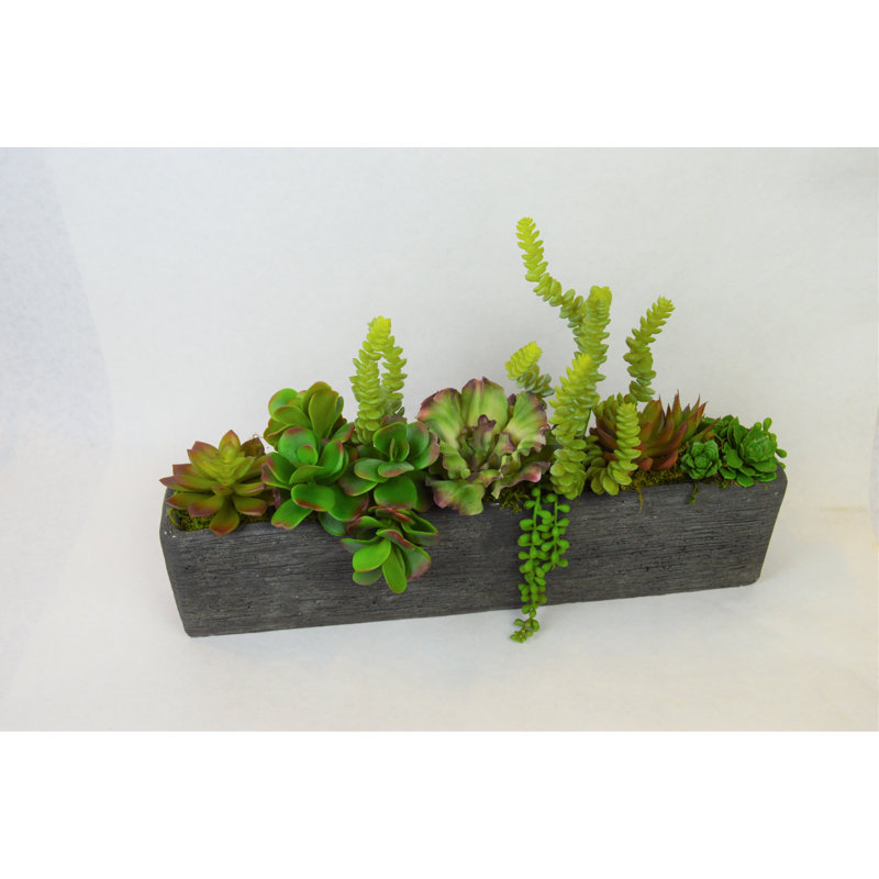15'' Plant in Stone Planter