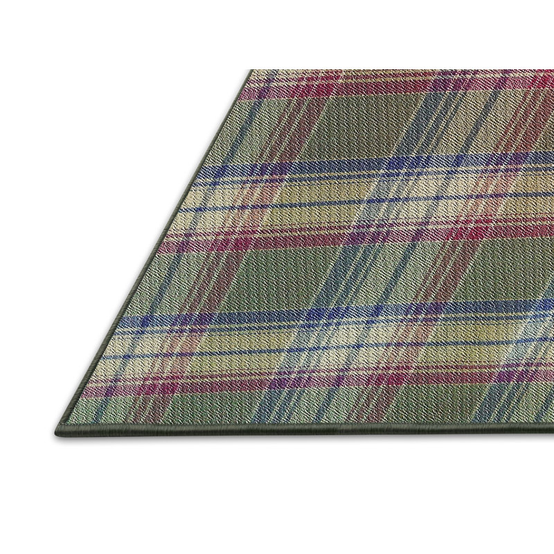 Jasso Plaid Indoor Rug, Rectangle 2' x 4'