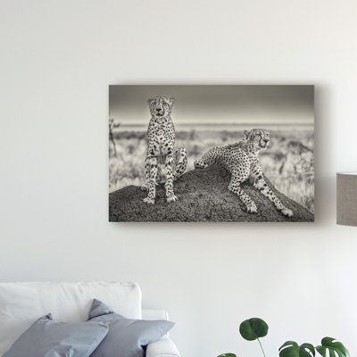 Black and White Photography Print
