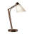 Reach 21.9" Desk Lamp-114977266-114977265