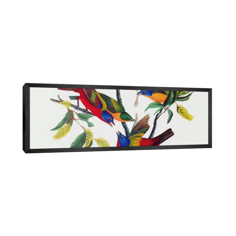 Painted Bunting by John Audubon - Panoramic Painting on Canvas, 152.4 cm H x 50.8 cm W, Black Floater Framed