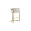 Tabouret de comptoir 24 po Maheer en velours et base chromée (chaise simple)-272955384-393398478-483799090