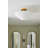 Steel Armed Sconce