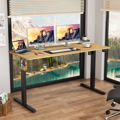 Oishee Electric Adjustable Standing Desk