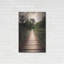 «Wilderness Walkway» par Donnie Quillen-17393085