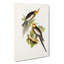 Cockatoo Parakeets by Elizabeth Gould - Wrapped Canvas-55371189