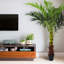 180cm Faux Plant in Nursery Pot