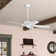 52" Builder Elite 5 - Blade Standard Ceiling Fan with Pull Chain