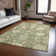 Machine Washable Indoor/Outdoor Cicel ACN1150 Aloe Rug