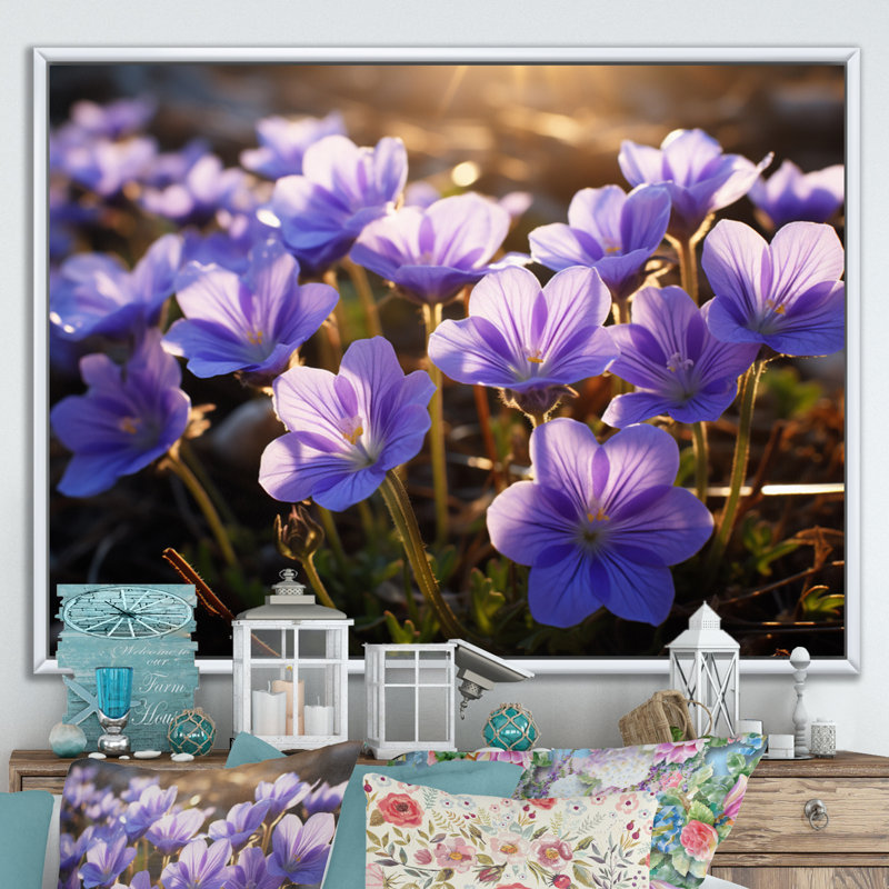 «Violets Field At Sunrise I», reproduction sur toile, Cadre flottant blanc, H 30 po x l 40 po