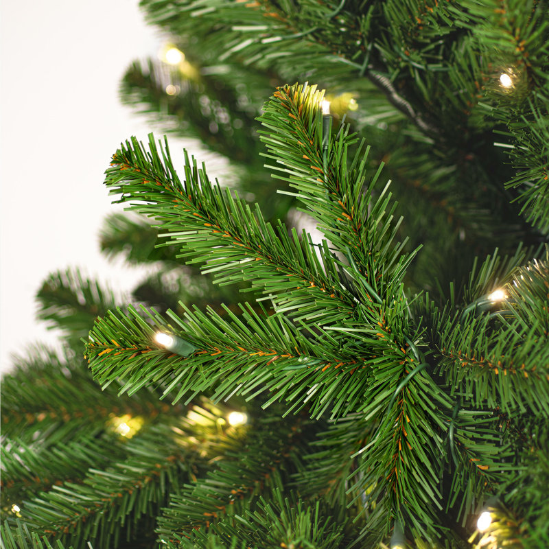 Vickerman Deluxe Sequoia Pine Artificial Slim Pre-Lit Christmas Tree with Warm White LED 5MM Lights, 14'