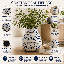 Vase de table Dinita