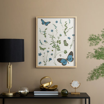 Botanical Page I Framed Print - Solid Wood