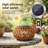Rattan Solar Lights Decorative