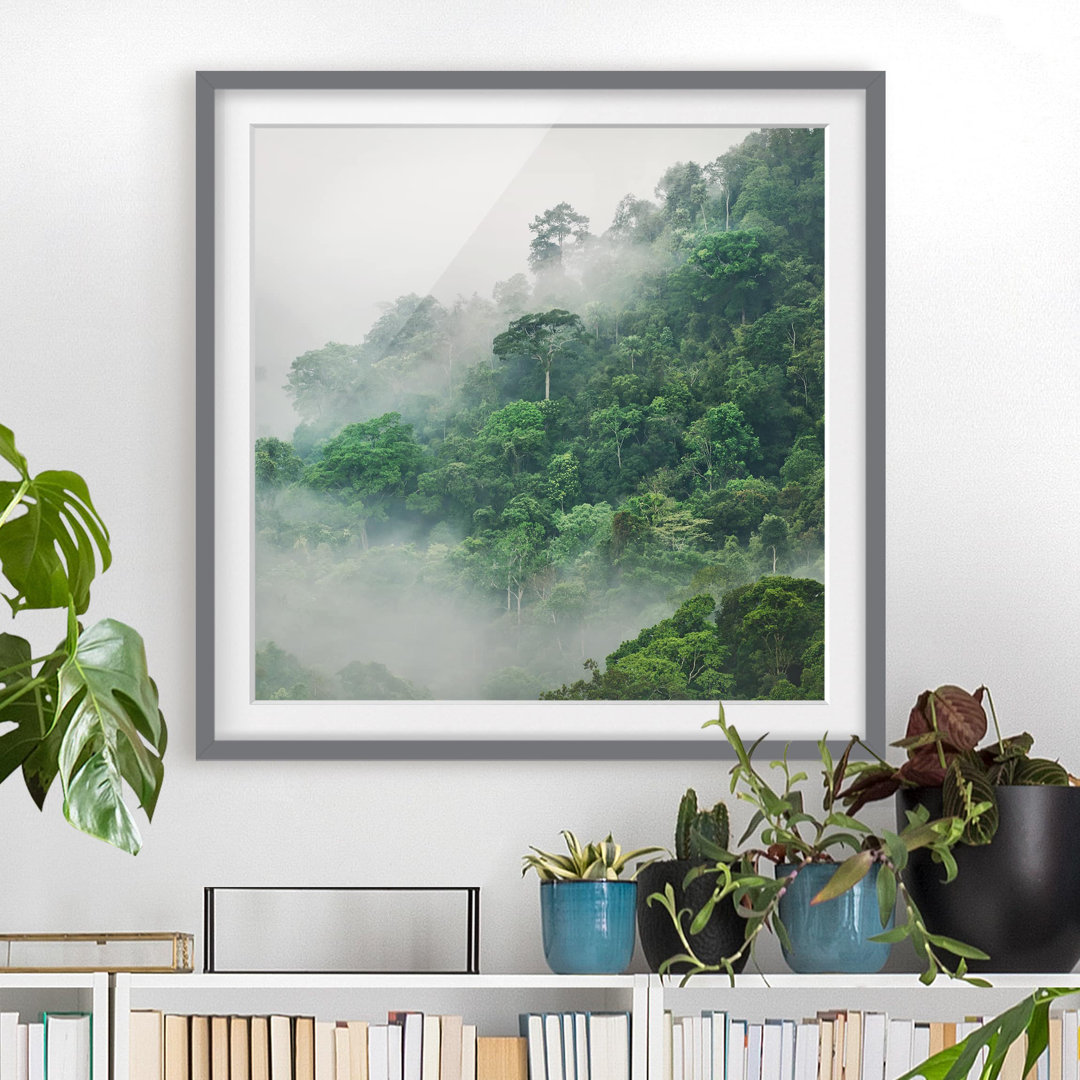 Gerahmter Grafikdruck Jungle in the Mist