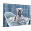 Bubble Bath Time - Wrapped Canvas Painting-1786298250