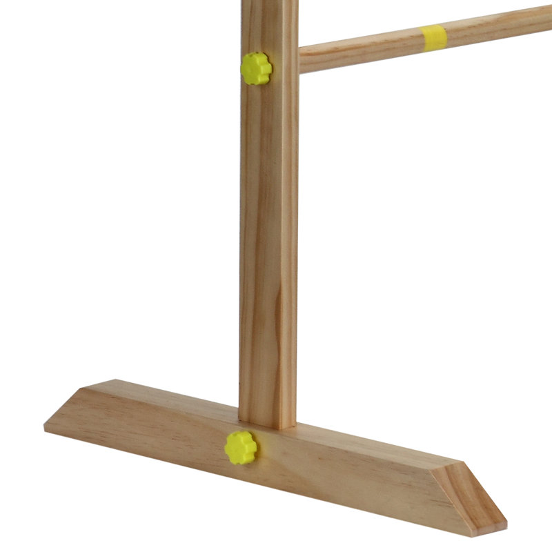 Ladder Ball Set