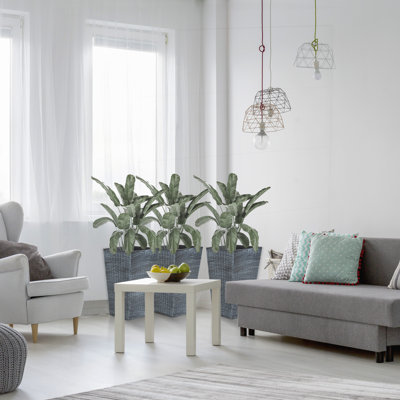 Ensemble de 3 grands bassins avec drainage Outsunny, idéal pour une utilisation extérieure et intérieure, rehaussant le décor de tout vestibule ou patio.