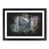 Black Framed selected