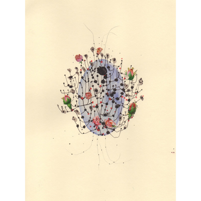 Flowering Sea Sponge Print by Jenny Brown, Wrapped Canvas, 32" H x 24" W
