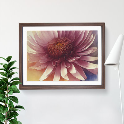 Chrysanthemum Watercolour Flower Vol.4 - Framed Print