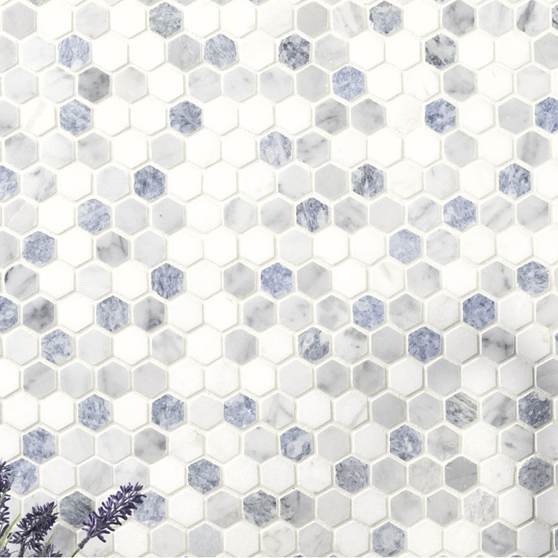 Loredana Hexagon 12 in. x 12 in. Polished Marble Mosaic Floor and Wall Tile