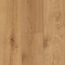 Subtle Canvas