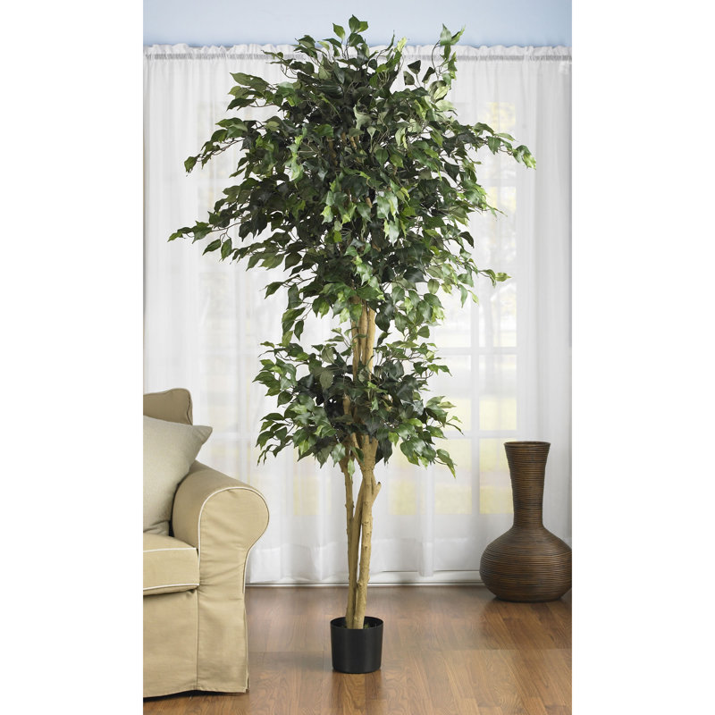 72'' Faux Ficus Tree in Pot