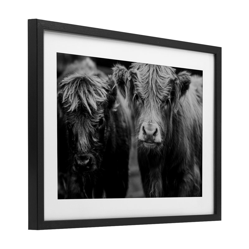 La vache fait face à la ferme, reproduction sous verre, design par Amy Carroll, H 14 po x l 20 po, Cadre noir minuit