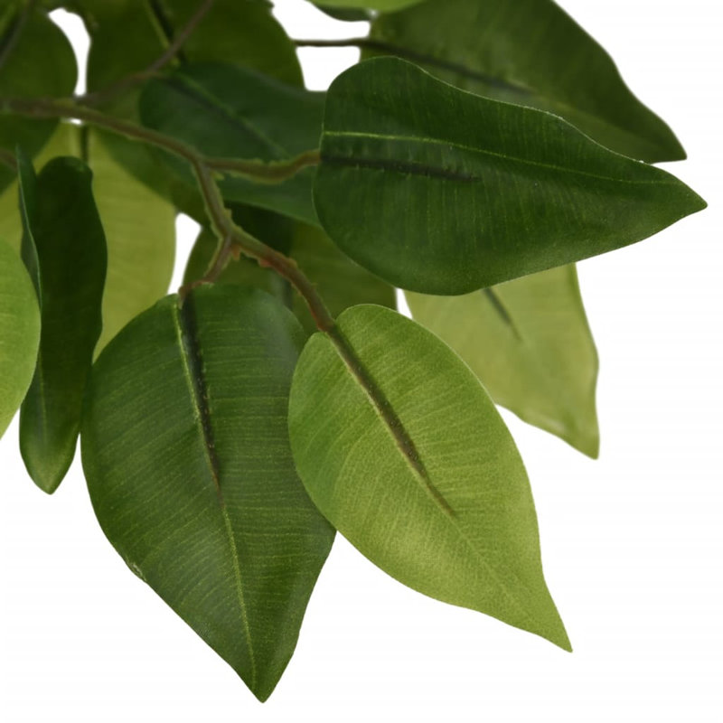 Faux Ficus Tree in Pot, 180cm H x 90cm W