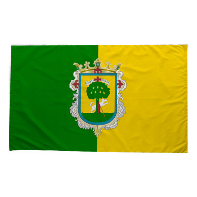 Drapeau de la ville de Zapopan - drapeau extérieur