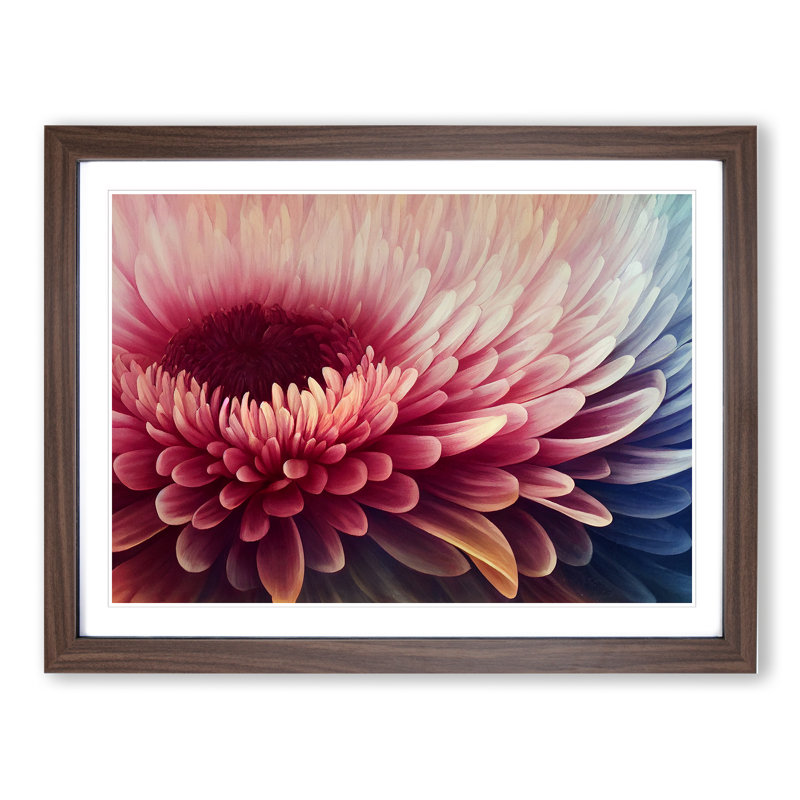 Chrysanthemum Flower Vol.3 - Framed Print, 34cm H x 46cm W x 2cm D, Walnut Framed