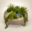 Plant in Concrete Pot