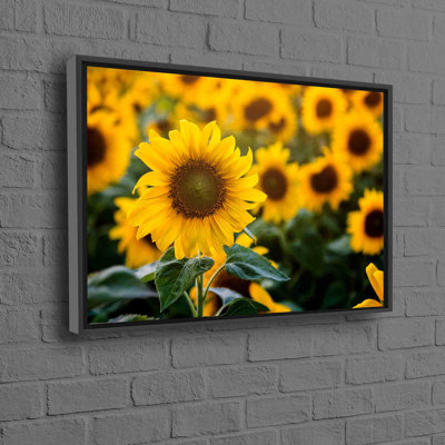 Print on Canvas