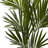 Faux Kentia Palm Tree-1642241720