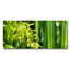 Bamboo Zen Print by DecorumBY-1669444890