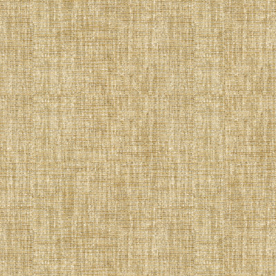 Basics Fabric