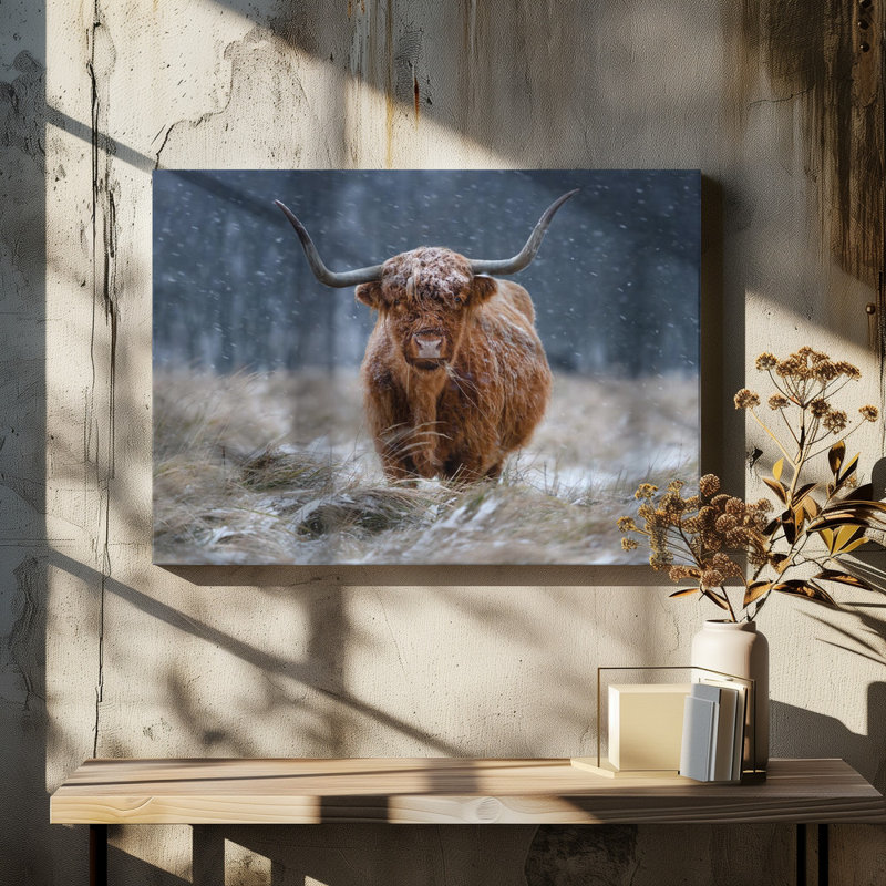 Wrapped Canvas Print, 50.8cm H x 76.2cm W