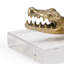 Animal Crocodile
