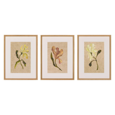 Blooms I Triptych By Brittney Shulz
