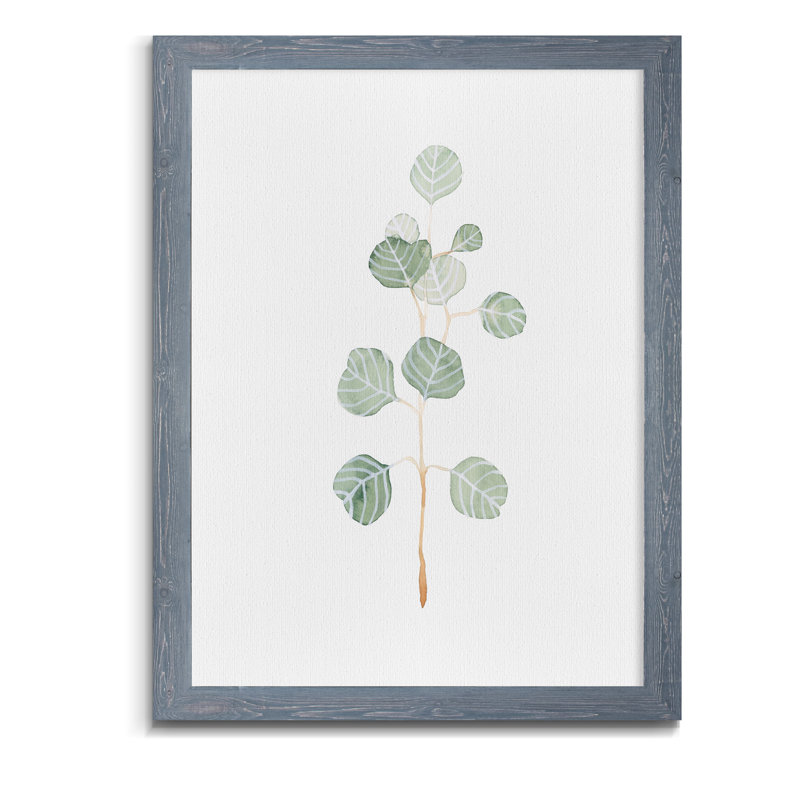 Doux eucalyptus II - Reproduction d'art sur toile encadrée, H 44 po x l 32 po x P 1,25 po, Encadré gris