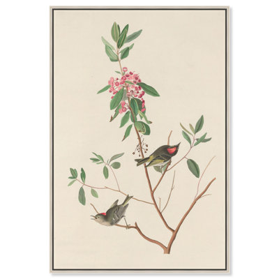Mountain Laurel, reproduction d'art sur toile par Art Remedy