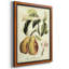Impression sur toile encadrée de qualité supérieure de fruits de Toscane IV - prête à être accrochée-129538946