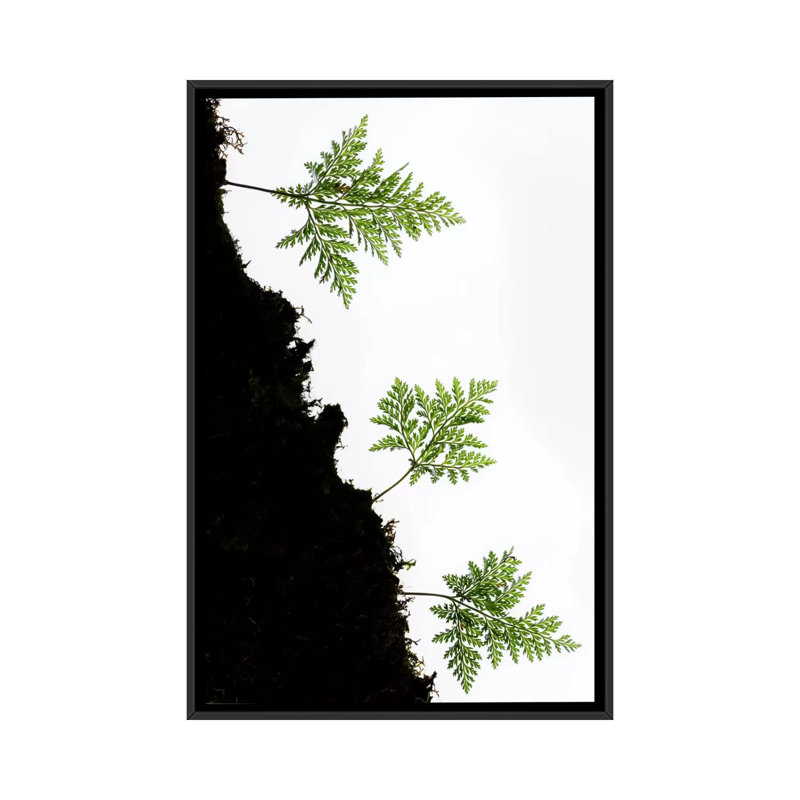 « palm trio ii », impression sur toile, H 26 po x l 18 po x P 1,5 po, Toile avec cadre noir, Pas de tapis