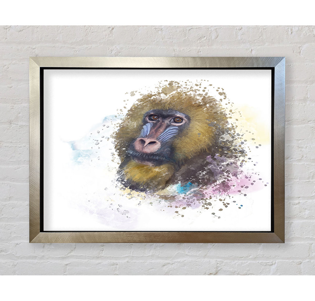 Mandrill Watercolour Splash - Druck